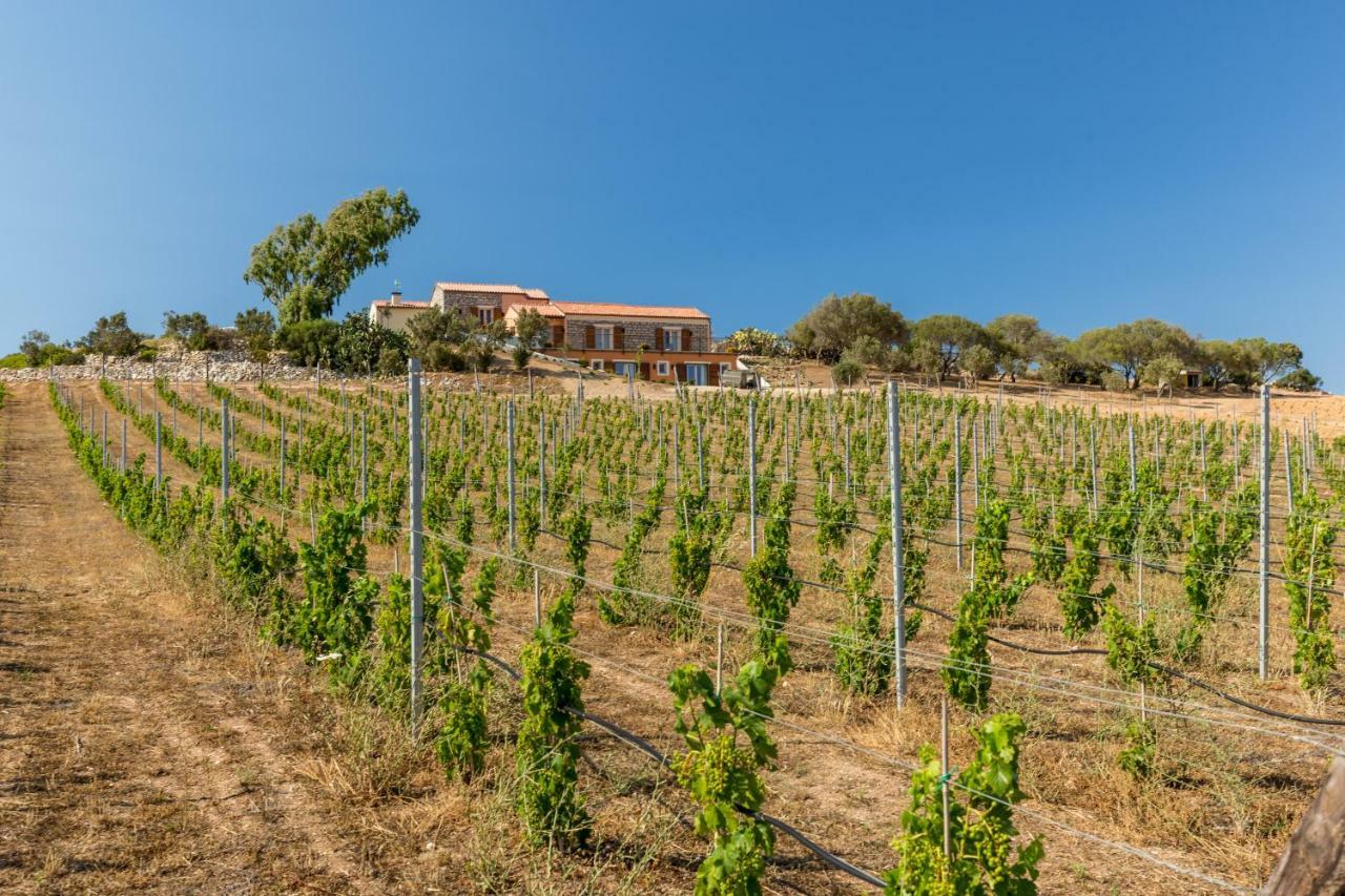 Tenuta Petra Bianca Palau Zewnętrze zdjęcie