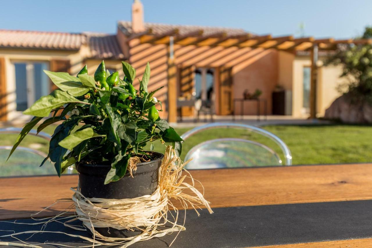 Tenuta Petra Bianca Palau Zewnętrze zdjęcie
