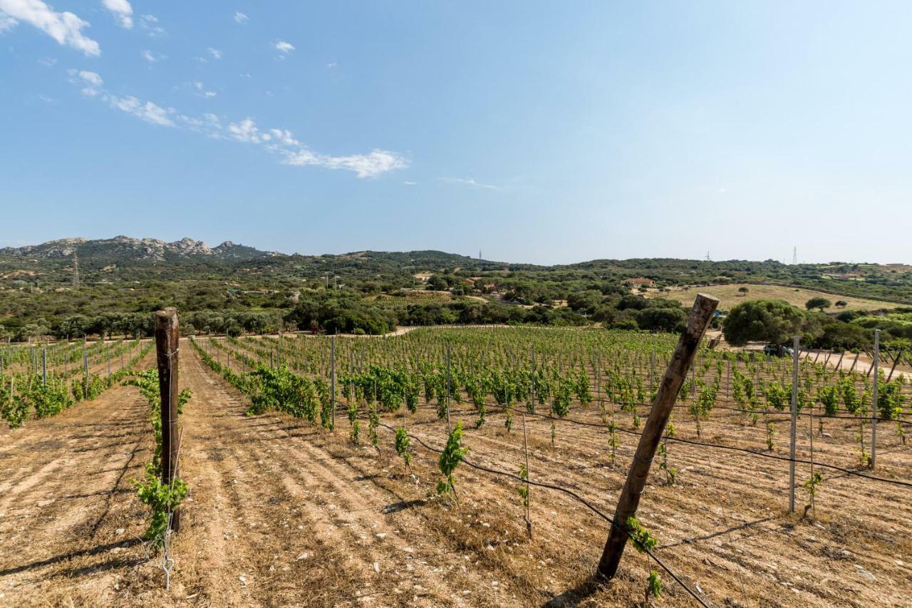 Tenuta Petra Bianca Palau Zewnętrze zdjęcie